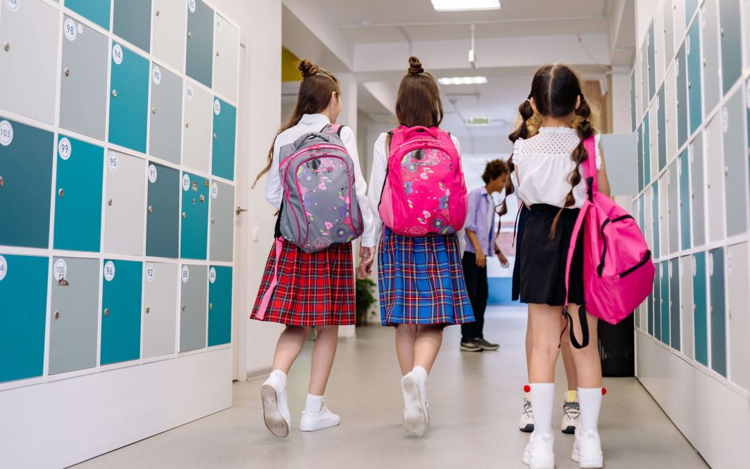 What makes a Good School Bag!